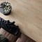 My Step Stone MS8008 Ламинат Дуб Тал 8 мм класс 33/АС5 с фаской (миниатюра фото 13)