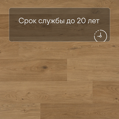 QS Second choice Alpha BLOS  SPE40320 - AVSPU 40320 Дуб береговой медовый (фото 6)