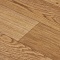 Premium Falco 2_1159 (миниатюра фото 8)
