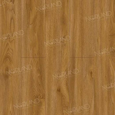 Norland Elegant 8 4V 33 (CH) LF301-10 Дуб Хонсю (фото 1)