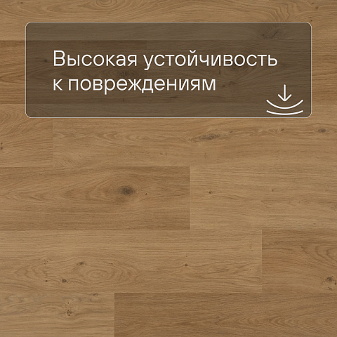 QS Alpha Vinyl BLOS BASE планка AVSPT 40320 Дуб береговой медовый (фото 5)