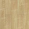 Norland Elegant Strong 12 4V 34 (CH) LF302-04 Дуб Тасмания (миниатюра фото 1)