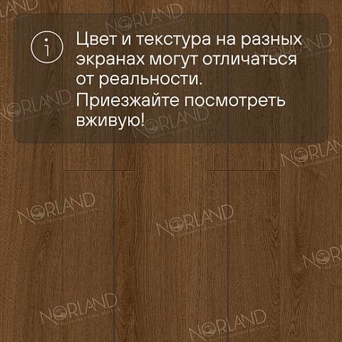 Norland Elegant Strong 12 4V 34 (CH) LF302-20 Дуб Этна (фото 10)