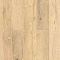 SPC Ламинат Alpine Floor ABA Premium XL ЕСО 7-16 Дуб Медовый 4V 43кл (миниатюра фото 1)